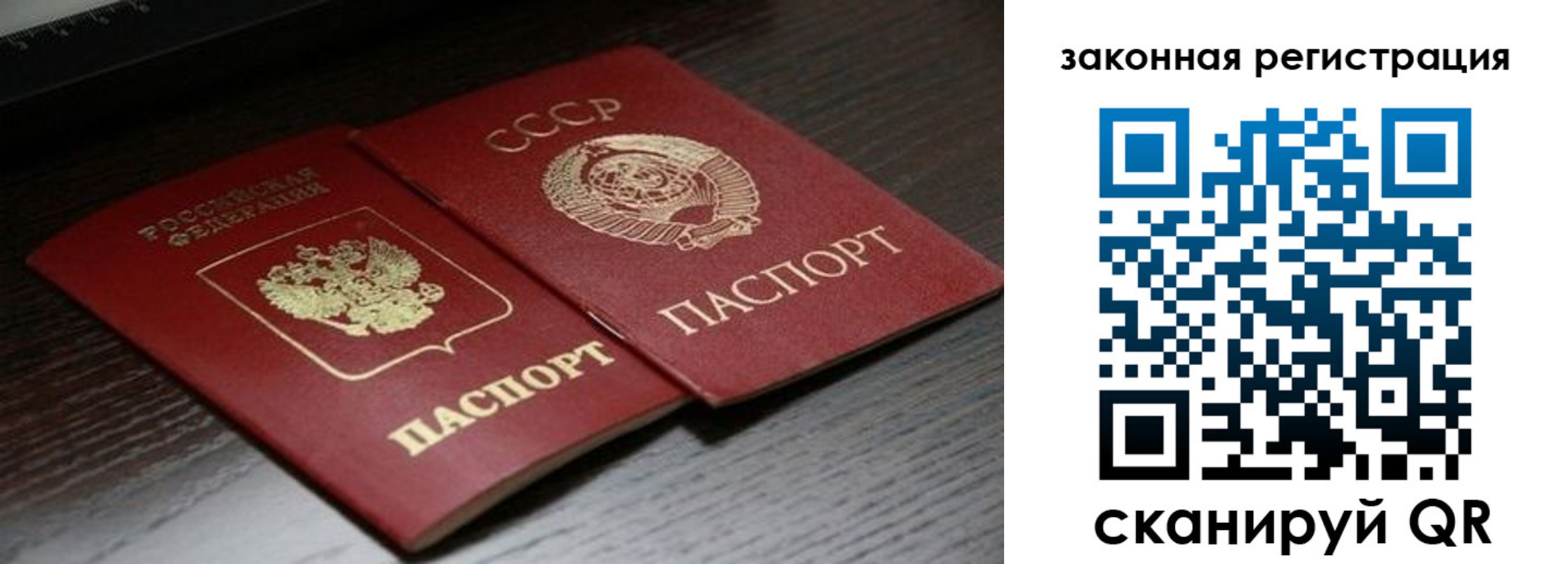 прописка поиск в Агрызе